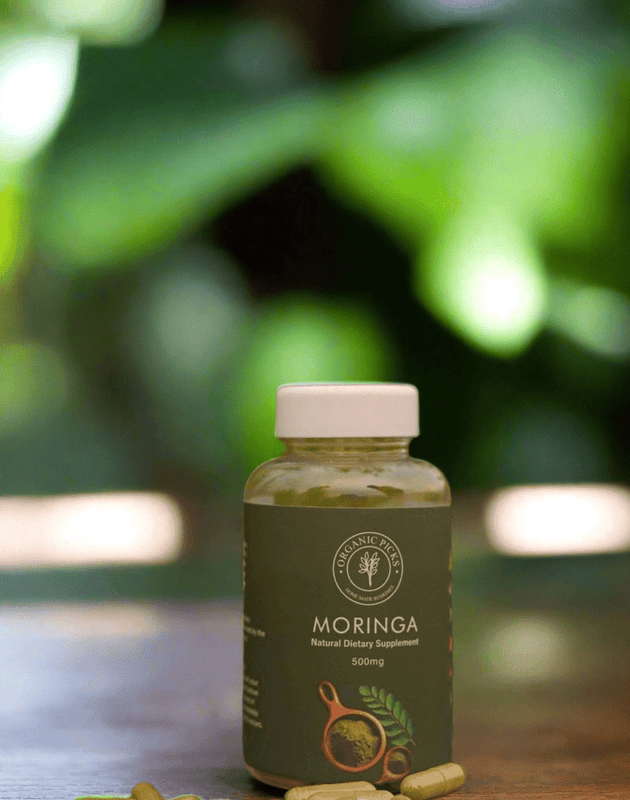 Moringa - Organic PicksMoringaOrganic PicksOrganic PicksMoringa