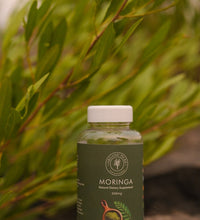 Moringa - Organic PicksMoringaOrganic PicksOrganic PicksMoringa